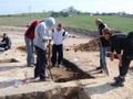 badania archeologiczne w Wildnie