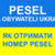 Grafika - PESEL DLA OBYWATELI UKRAINY