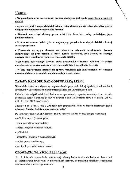 lasy_30002.jpg