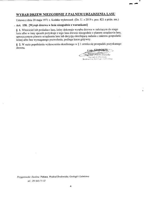 lasy_30004.jpg