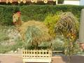 Wieniec z Monet