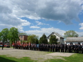 formowanie pocztów sztandarowych
