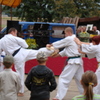 pokaz karate nagrodzono gromkimi brawami
