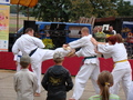 pokaz karate nagrodzono gromkimi brawami