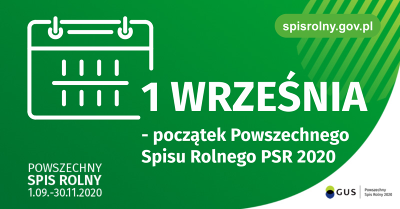 grafika_.png
