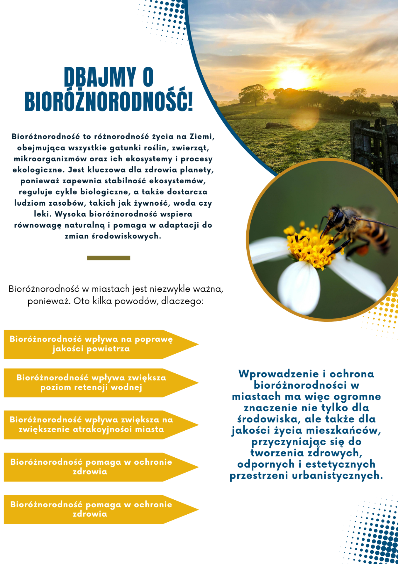 Wersja graficzna treści przedstawionej w wiadomości