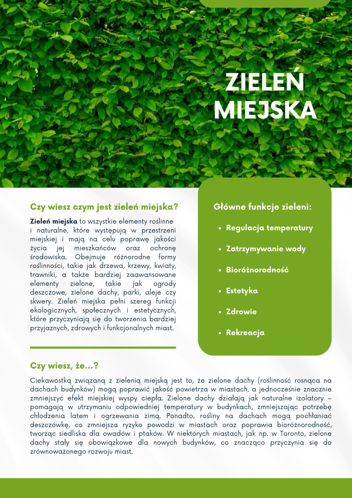 Wersja graficzna treści przedstawionej w wiadomości